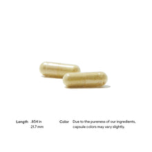 Pancreatic Enzymes (formerly Dipan-9) by Thorne. 180 Veg Cap. Pancreatic Enzymes. Lactose Free.